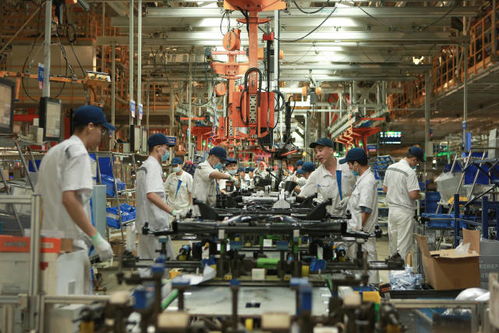 广东聚焦汽车装饰产业升级 省委书记两日专题调研探访发展新路径