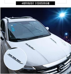 鲨鱼腮装饰 汽车个性改装中的通风美学